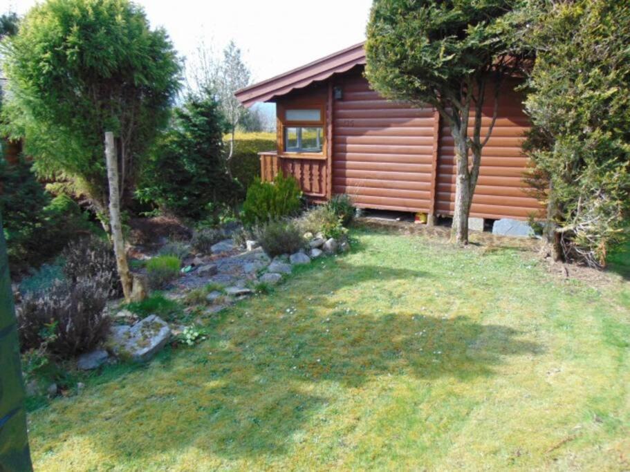 Appartement Cabin à Trawsfynydd Extérieur photo